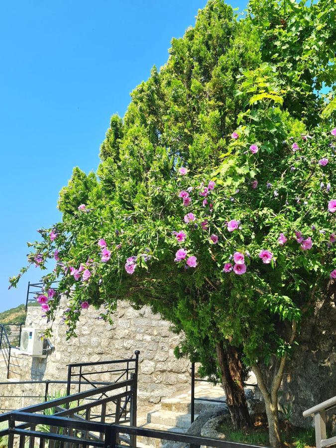 Villa Nera Budua Esterno foto