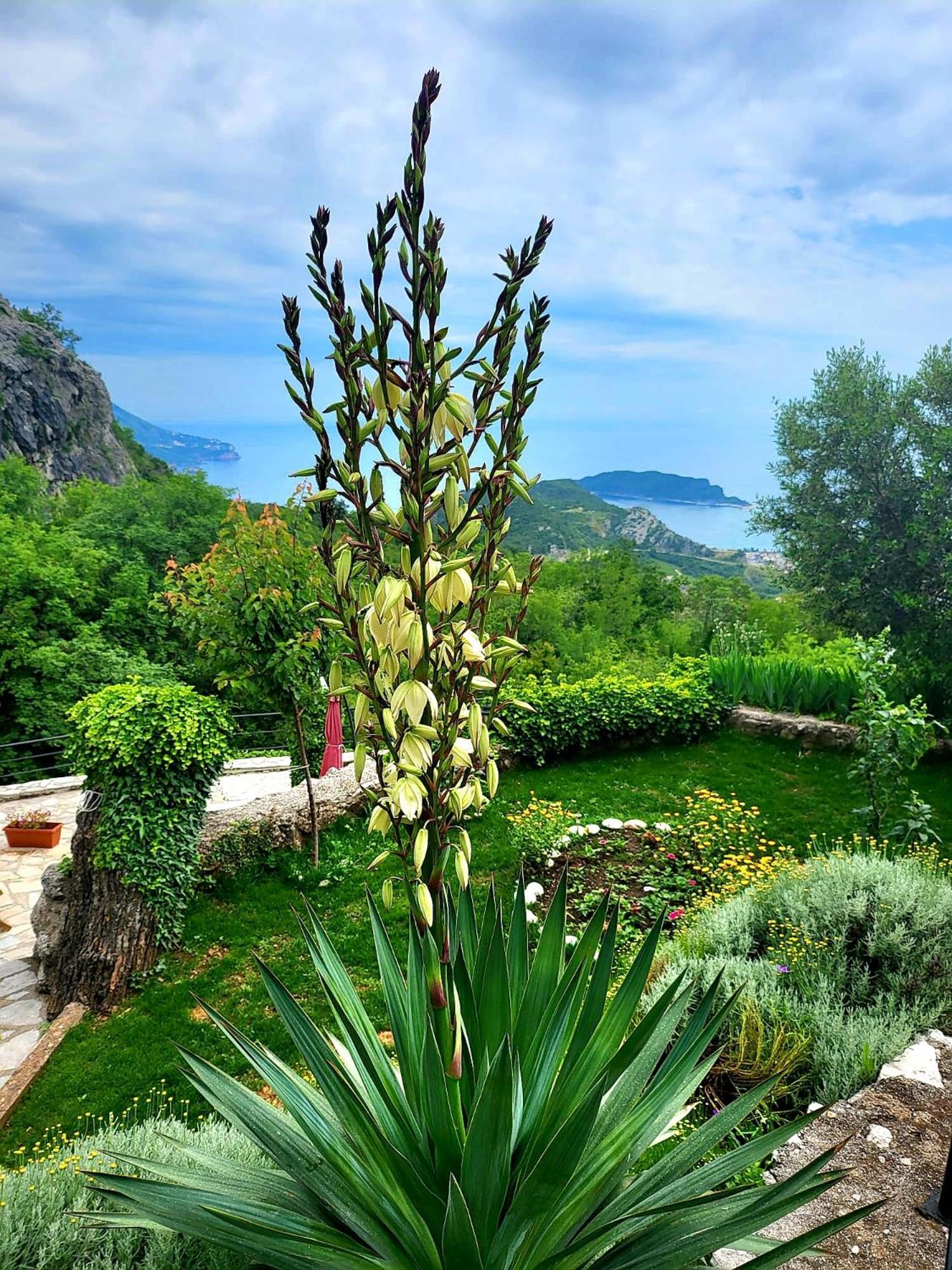 Villa Nera Budua Esterno foto