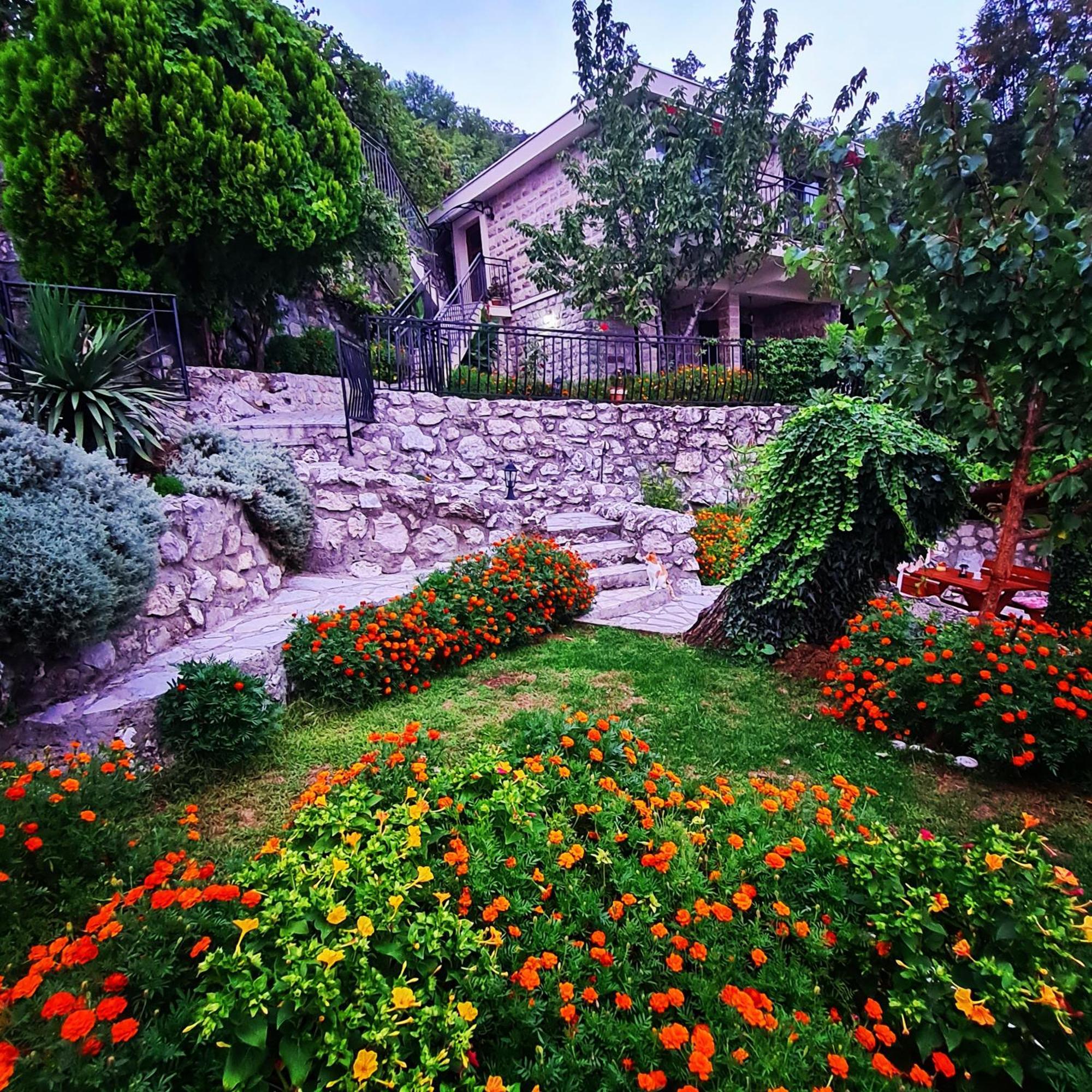 Villa Nera Budua Esterno foto